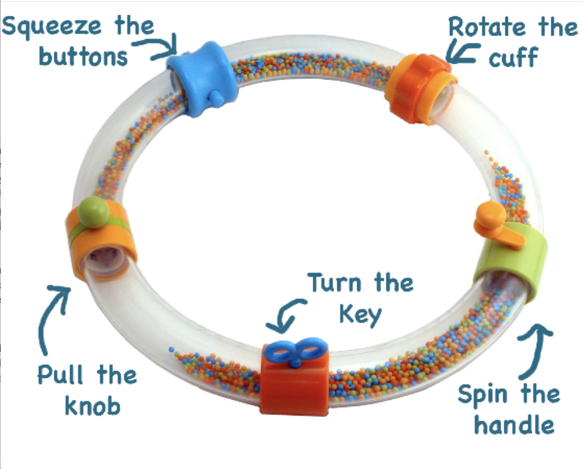 Explorer Ring with interactive skill stations